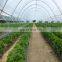 100% raw HDPE agricultural sun shade net