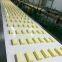 High Production Ultrasonic Portioning Solutions automated cheese slicer
