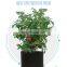 new design 2020 felt plant pots desktop baskets