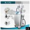 Body cool shape slimming system freeze fat criolipolisis machine freeze fat lipofreeze slimming