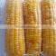 Best Price Fresh Yellow Sweet Corn From Vietnam
