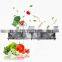 Automatic fresh fruit cleaner salad washer vegetable washing machine industrial