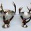 nickle plated wine chiller with deer horn