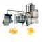 automatic 50KG/H jackfruit fruit and vegetable vacuum frying machine