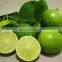 Organic Green Fresh Lemon Exported