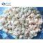 Wholesale Frozen Bulk White Cauliflower IQF Cauliflower Cut