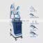 2022 Best 360 Cryolipolysis Machine Fat Freezing Slimming Machine