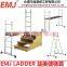 Multi-Purpose scaffold ladder