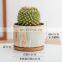 Factory Cheap Ceramic Pots Succulent Unique Small Circle Marble Vein European Indoor Flower Pot