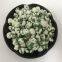 Wasabi coated green peas