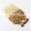 Ombre keartin curly silk strand hair extensions                        
                                                                                Supplier's Choice