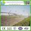 6-ft x 50-ft Galvanized Steel 11-Gauge Chain-Link Fence Fabric