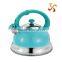 3.0L home useful drinkware of water kettle with colorful coating on body