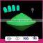 Glow in the dark pigments, night glow pigment photoluminescent pigment