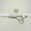 Professional stainless steel scissors hair dressing and bueaty scissors