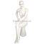 Reasonable price plastic half body mannequin/Newly half body mannequin/Muscle male torso mannequin