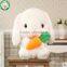 Hot selling new design funny lovely short plush rabbit toy