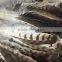 Eagle feathers LZWHY991