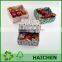 Bright Colorful Wedding Favor Box