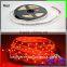 Double Line Multiple Color Ribbon Waterproof 2835 programmable led strip 50m ip65 Waterproof