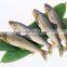 Supermarket manual fish process machine/fish killing machine