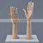 plastic mannequin hands