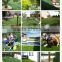Free sample provided artificial grass for garden from Shanzhong industry