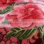 2016 fashion online super soft polyester raschel blanket
