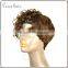 short cut style wigs top quality 100% human hair wigs easily handled