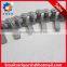 Customized OEM Production Stainless Steel Roller Chain and Chain Link for Transmission