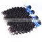 Wholesale Brazilian human virgin hair water wave clip in hair extension