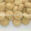 High quality Canned mushroom with best price for sale