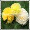 Chinese new year tissue paper pom poms poms