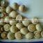 HACCP ISO hot sale canned mushroom in brine 314ml