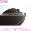 Virgin Kinky Straight Hair Weave Human Hair Mongolian Kinky Straight Hair