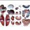 High quality Human Torso Model 85cm for educational