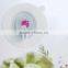 Dianfa Bathroom Kitchen Wall Glass Window Suction Cup Hooks