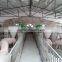 Workshop Fan Agricultural fans Ventilation CCC/CE Certificate Exhaust Fan