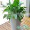 new 2016 plant pot hydroponic pot plastic flower pot wholesale on allibaba com