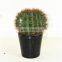 SJ3001020 Evergreen giant plastic cactus ball