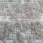 HACCP Vannamei White Shrimp PND Tail-Off