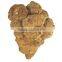 Farmers Supply Wenshan Sanchi Radix Notoginseng 30 PCS /500 G