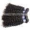 wholesale virgin malaysian hair, 100% unprocessed malaysian virgin hair, malaysian hair curly bundles