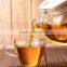 600ml Heat- Resistant Glass Teapot with glass Infuser Drinkware