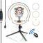 6 8 10 12 14 Inch desktop LED Ring Light with tripod stand For Tiktok YouTube Video Live Broadcast