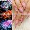 adhesive 3d butterfly nail decal holographic powder for 2020 new product