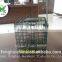 Tube Bird Feeder/OEM at best price squirrel resistant seeds feeder bird feeder