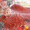Customized supplier fruit and vegetable tomato paste processing line