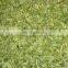 Herb dried papaya leaves/ wholesale dried papaya leaf/ tea herb from Vietnam