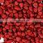 Premium Quality Red Annatto seeds/Best shelling natural dried annatto seed from Vietnam